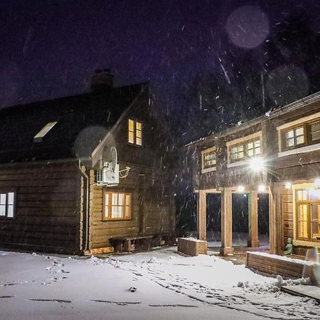 Zemene Villa Bauska Eksteriør billede